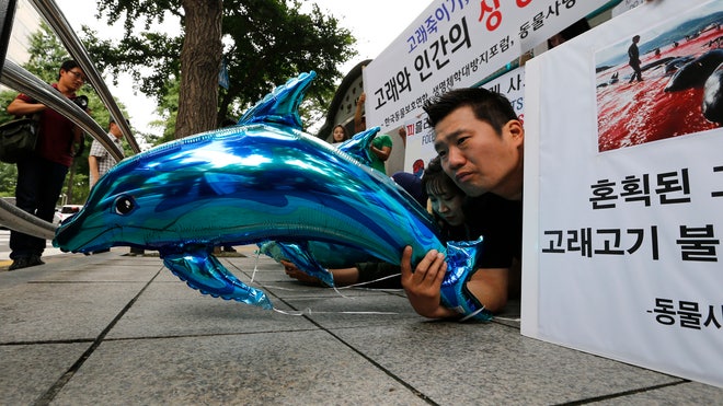 South Korea Whaling_Pata.jpg
